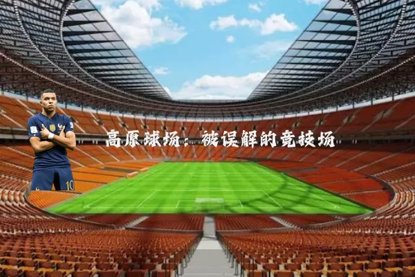 高原球场:被误解的竞技场